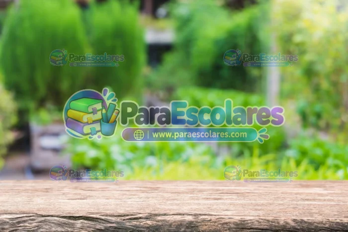Fondo-Mockup-Madera-Paisaje-Verde