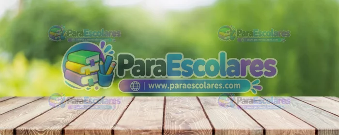 Fondo-Mockup-Madera-Paisaje