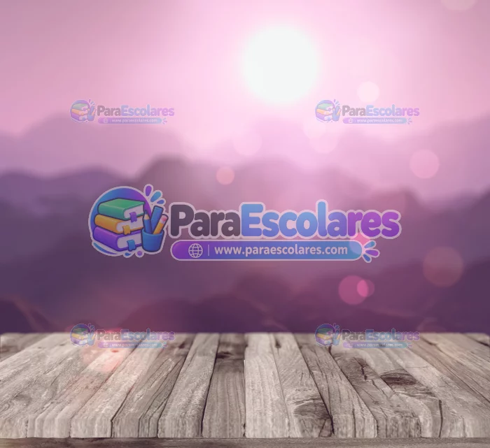 Fondo Mockup Robnei 19