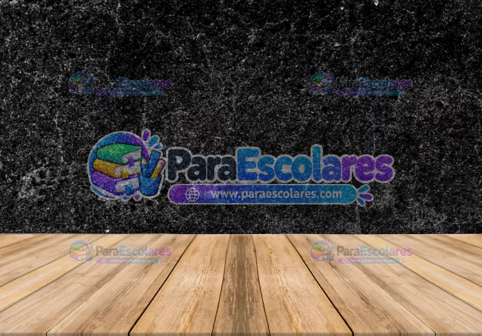 Fondo Mockup Robnei 27