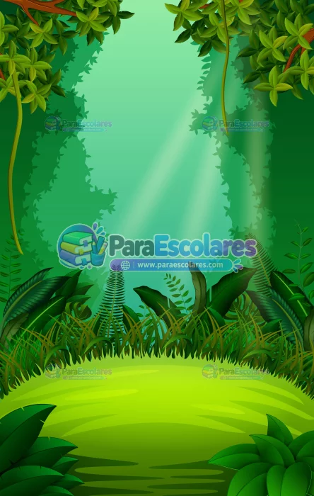 Fondo Selva Safari