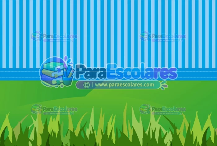 Fondo-raya-pasto2-celeste